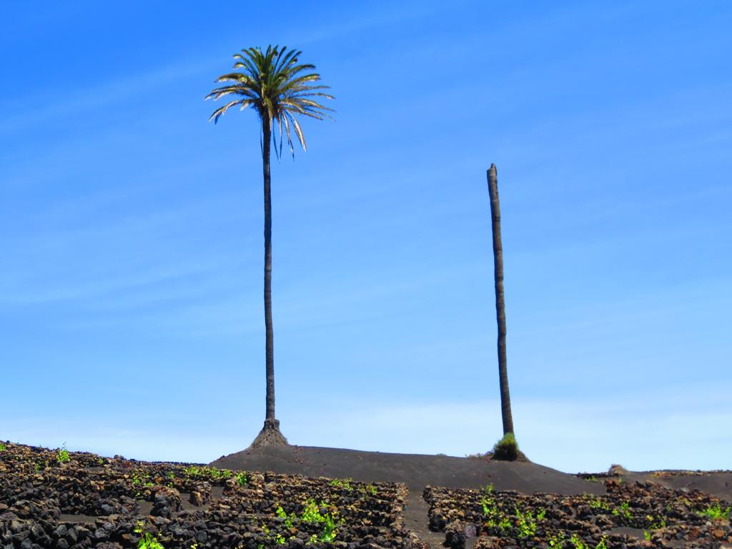 thérapie individuelle